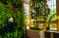 Bassett Green orangery installation